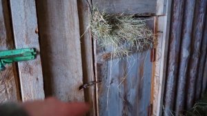 КУПИЛ 2 ДОМА В ДЕРЕВНЕ | МЫ ЭТОГО ЖДАЛИ ДАВНО! ЦИВИЛИЗАЦИЯ ИДЁТ К НАМ!