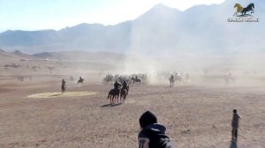 Бузкаши Дулона 12.01.2025_ Полная Версия Купкари Самандар Кенжаев