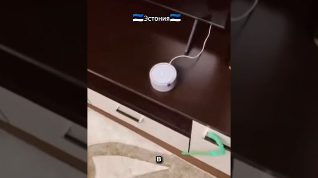 Как подключить умную колонку Алиса за границей ? смотреть онлайн