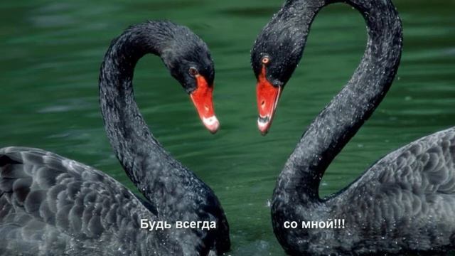 Будь всегда рядом со мной... смотреть онлайн