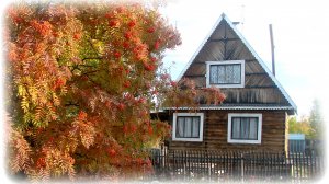 Дача своими руками