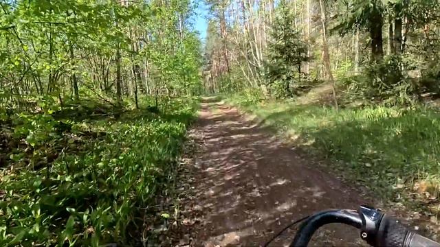 Тестовые видео GoPro12.  Что дает HDR.  Линейный угол обзора.  Планы на фотоловушки.