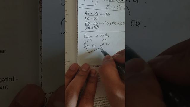 TAİM genetika test izahı 101-120. MİQ və Sertifikasiya hazırlığı. Əlaqə: 055-634-73-41 смотреть онлайн