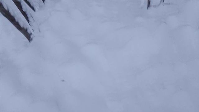 С сыночком едем на огород. Какая же красавиться моя родина, моя Удмуртия! смотреть онлайн