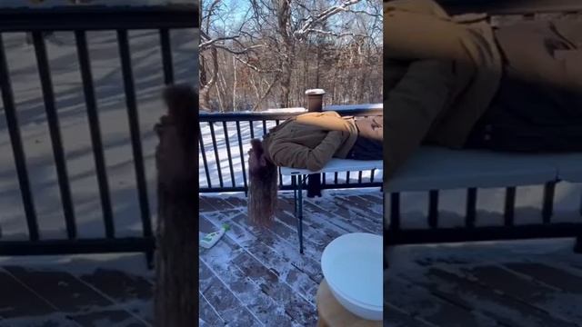 ! Двач @dvachannel @rand2ch @ru2ch_ban(1) (3).mp4 смотреть онлайн