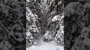 №67 Выравнивание и восстановление внутреннего состояния