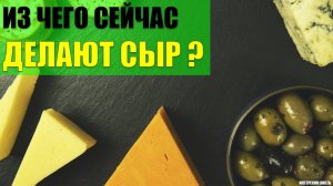 Из чего на самом деле делают сыр?
