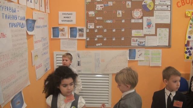 муравьи и исследования в школе смотреть онлайн