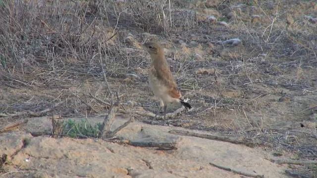 ust08 022925 1 смотреть онлайн