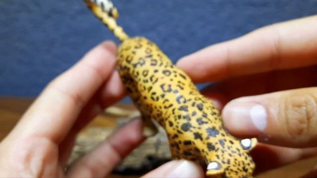 Leopardo collecta Macho Review. смотреть онлайн
