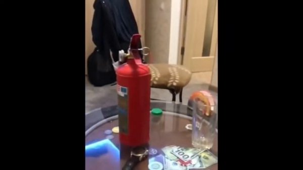 Тик Ток стал мем Добрыня Никитич