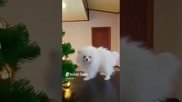 КОЛЬ-ОК (18) смотреть онлайн