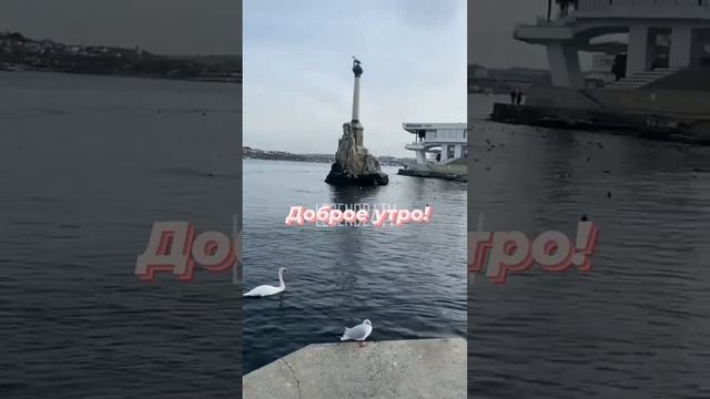 ВОТ ТАКОЕ УТРО В СЕВАСТОПОЛЕ. 3.02.23 #крым #севастополь #2023 смотреть онлайн