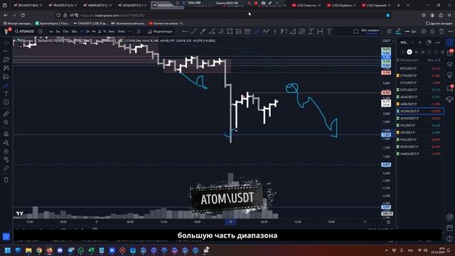 Чёрный лебедь на рынке: утренний обзор на 10.12.24 | Куда пойдёт крипта? смотреть онлайн