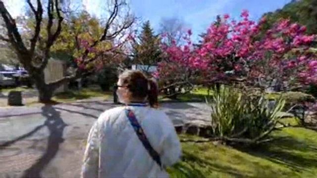 КАК НАЧИНАЕТСЯ МОЙ ДЕНЬ??? смотреть онлайн