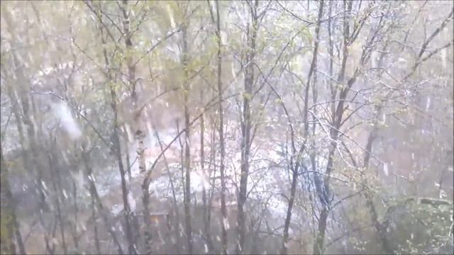У ПРИРОДЫ НЕТ ПЛОХОЙ ПОГОДЫ ? 10.05.2017 г. смотреть онлайн