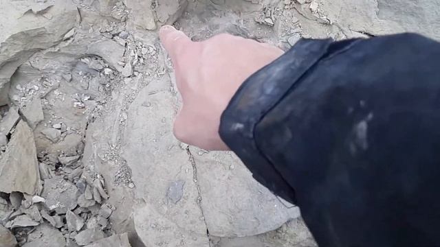 Fossil hunting @CapBlancNez extracting a Parapuzosia part 3 смотреть онлайн