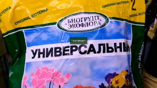 Выбор рассадного грунта. Тестируем и разбираем ошибки. смотреть онлайн