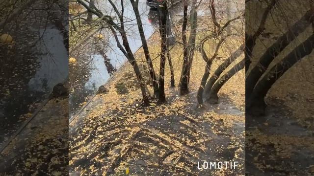 Осень у Мимисолек смотреть онлайн