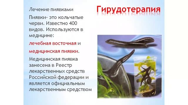 Зоотерапия часть 2 смотреть онлайн