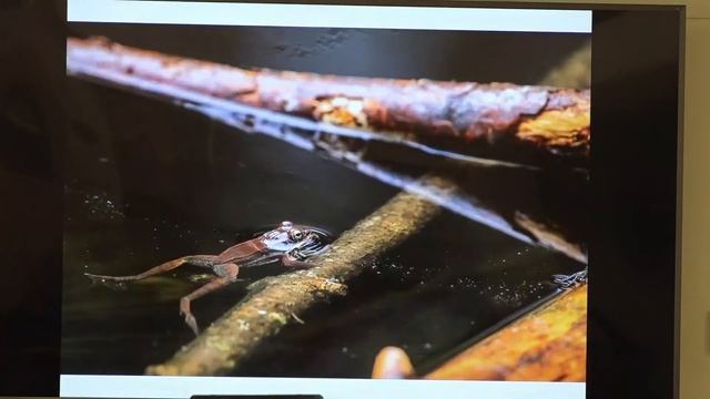 Coffee & Conversation With The COA