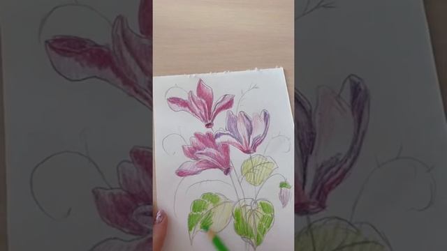 Как нарисовать красивые цветы? Рисуем вместе цветы карандашами. Урок рисования смотреть онлайн