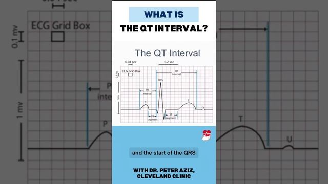 What is the QT interval? смотреть онлайн