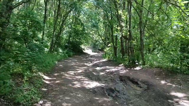 14 июня 2023 г.