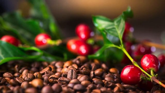 Coffee prices in 2022...will they ever come down? смотреть онлайн