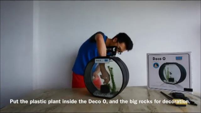 Fish Tank : Deco O Fish Tank смотреть онлайн