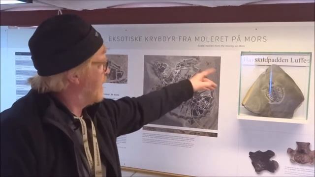 Henrik Madsen fortæller om havskildpadden Luffe смотреть онлайн