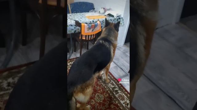 Всем добра💥 смотреть онлайн