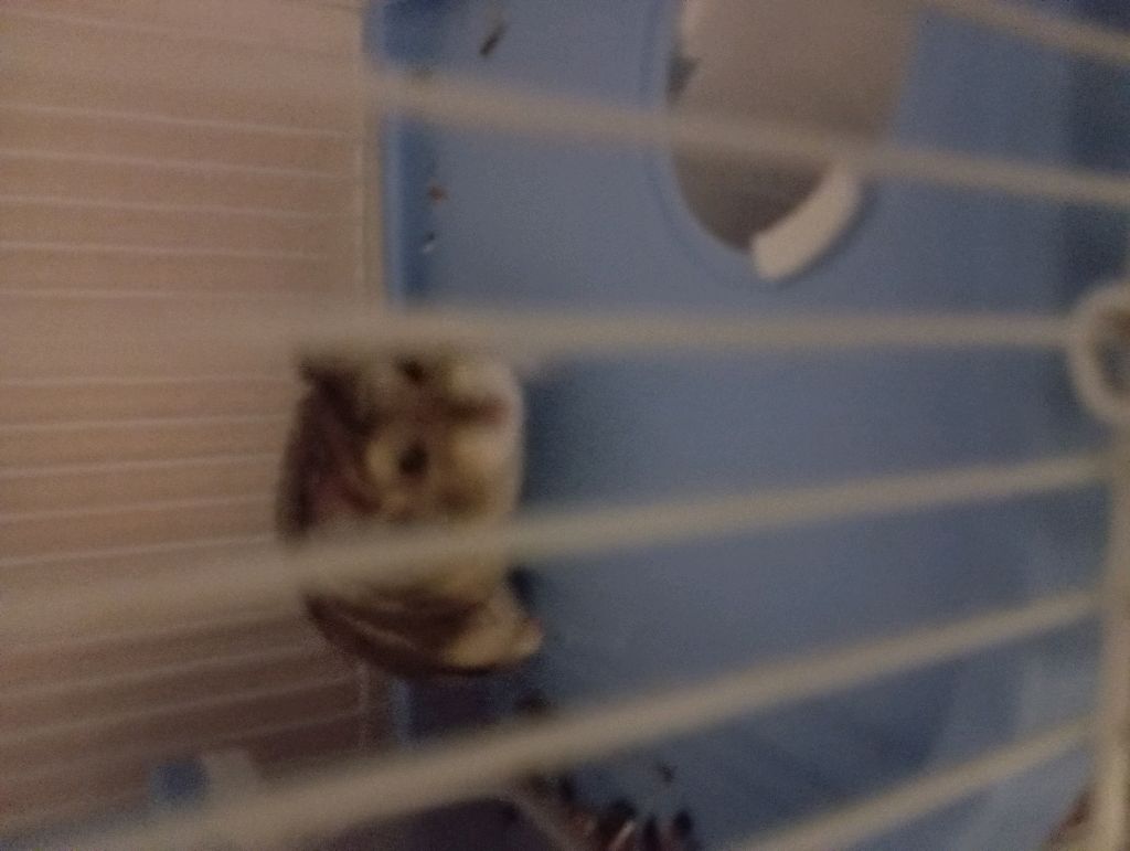 СТРИМ ПО ВАР ТАНДЕР