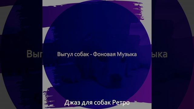 Созерцая (Одинокие собаки) смотреть онлайн