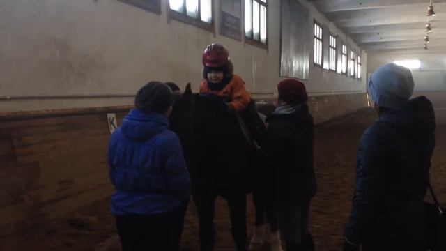 Второе занятие по иппотерапии смотреть онлайн