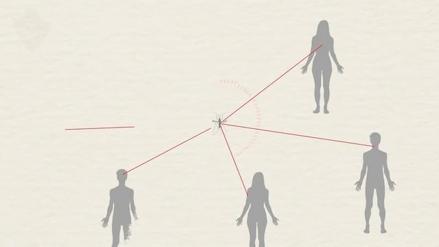 ҚАНІШЕР ЖӘНДІКТІҢ ҚАНДАЙ ПАЙДАСЫ БАР / ШЫБЫННЫҢ ЭКОЖҮИЕДЕГІ ОРЫНЫ смотреть онлайн