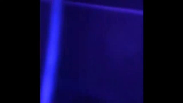 Long Lulu the Angel Fish смотреть онлайн