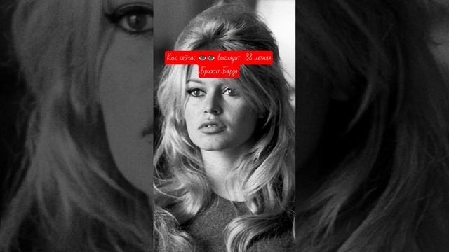 Как сейчас ️️ выглядит 88 летняя Брижит Бардо #music #знаменитости #shorts смотреть онлайн