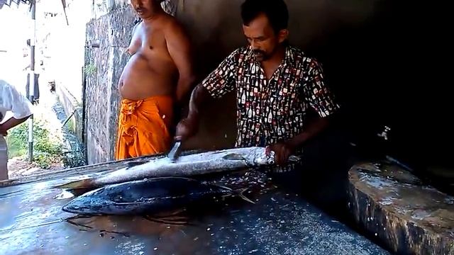 Sri Lanka. Fish Fish Fish смотреть онлайн
