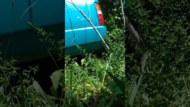 Cold start 1986 dodge D50 (mitsubishi mighty max) смотреть онлайн