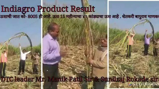 INDIA AGRO PRODUCTS amazing result смотреть онлайн