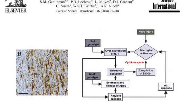 Recovery from brain injury and rehabilitation (London 2012)