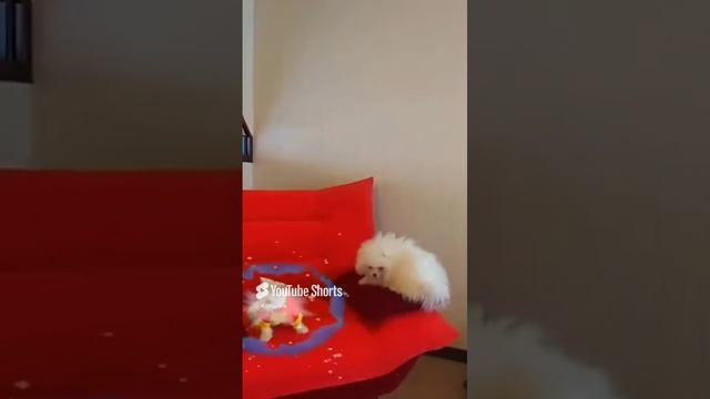 КОЛЬ-ОК (2) смотреть онлайн