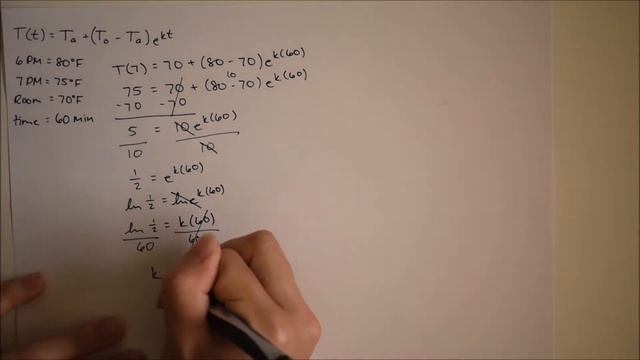 Math Project: Newton's Law of Cooling смотреть онлайн