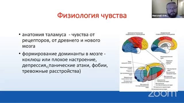 Эмоциональный интеллект. Часть 1. смотреть онлайн