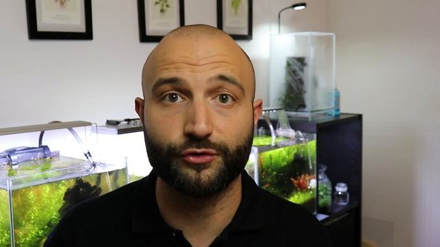 Trucchi per filtri esterni e recensione Oase Filto Smart Thermo 100. Quello che nessuno ti dice! смотреть онлайн