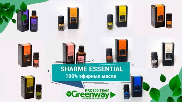 Sharme Essential Greenway Гринвей заказать. Ссылка в описании. смотреть онлайн