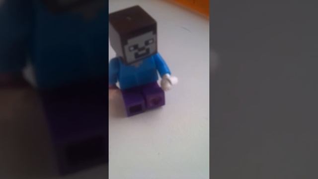 Новости кошки ТВ 2 смотреть онлайн