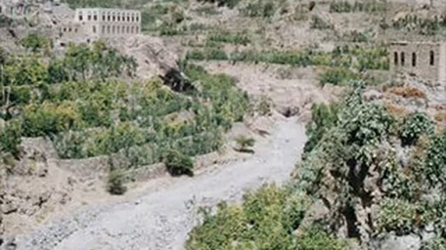 Arabica Naturals Conference In Yemen