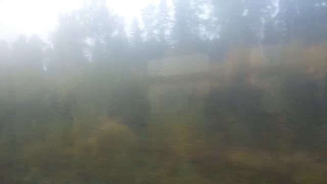 электричка - туман за окном! (02.10.21.) смотреть онлайн
